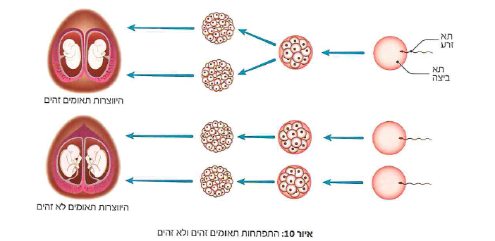 (בספר תמונה 1)